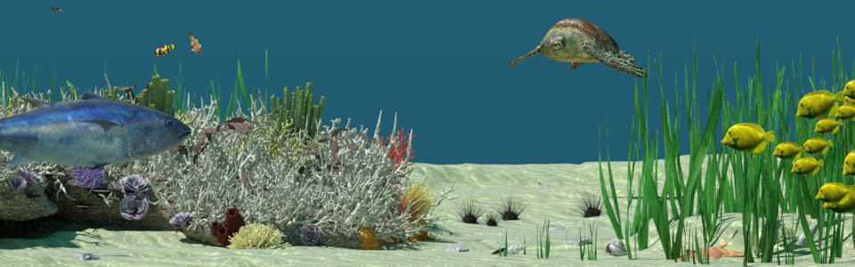 Ausschnitt Unterwasser Our Nature Cycles Render